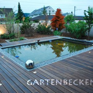 Gartenbecken Bei Nacht 005
